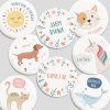 placky se spendlikem formace 37mm